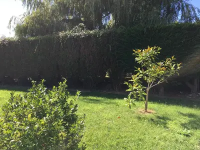 Jardin de l'établissement Villa Cotentin