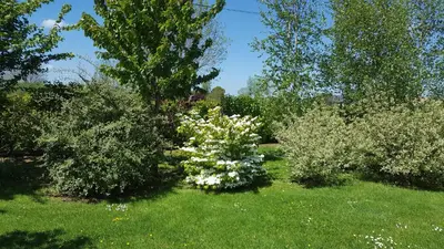 Jardin de l'établissement Gîte d'Anne et Ulysse
