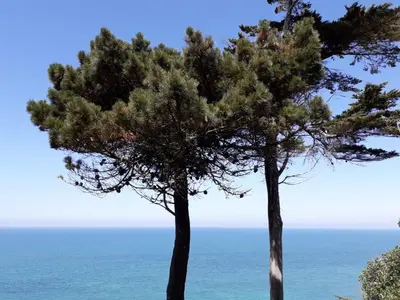 Paysage naturel près de l'appartement