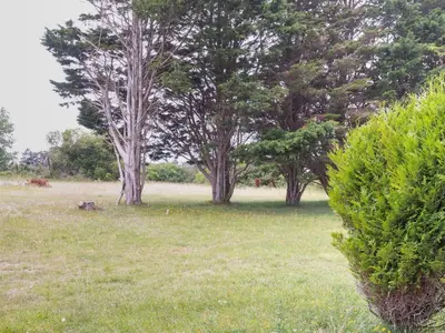 Jardin de l'établissement Holiday Home Les mielles by Interhome