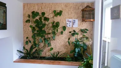 Plan de l'établissement Villa en campagne au Locheur + Piscine