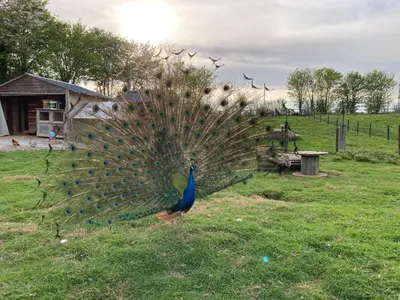 Jardin de l'établissement L'Escale Normande