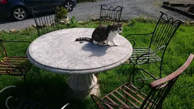 Jardin de l'établissement La Mare aux 3 Diables