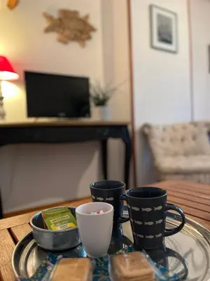 Télévision ou salle de divertissement dans l'établissement Les Transats Chambre et appartements Face à la mer