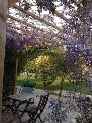 Jardin de l'établissement Olive et Pomme