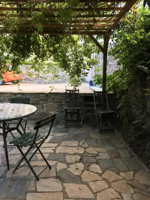 Jardin de l'établissement Olive et Pomme