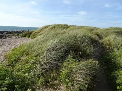 Paysage naturel près de la maison de vacances