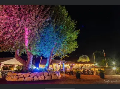 Jardin de l'établissement Camping Les Carolins - 4 étoiles