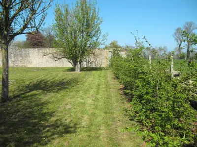 Jardin de l'établissement Holiday Home Le Repos by Interhome