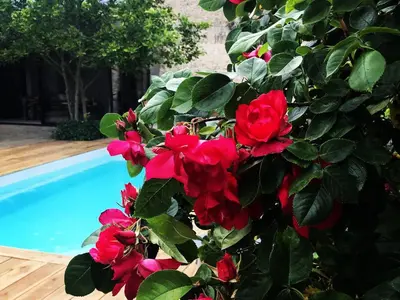 Piscine de l'établissement La Paresse en Ville ou située à proximité