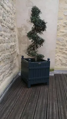 Plan de l'établissement Le 4