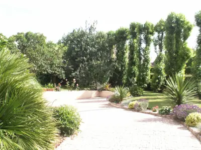 Jardin de l'établissement chambre normande