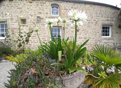 Jardin de l'établissement Gîte La Bourgetterie Fontenay sur Mer