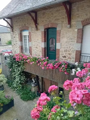 Jardin de l'établissement Les gîtes de Lyly