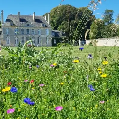 Chambres d'Hôtes Château de Martragny