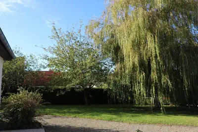 Jardin de l'établissement Gîte La Presqu'île