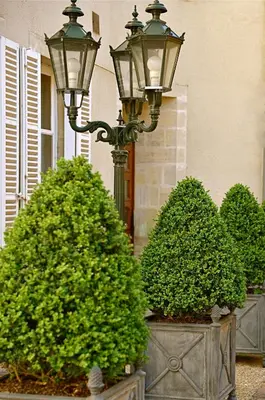 Jardin de l'établissement Hôtel d'Argouges