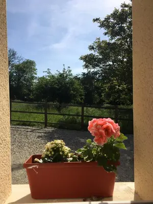 Jardin de l'établissement Gîte de la Grenouille