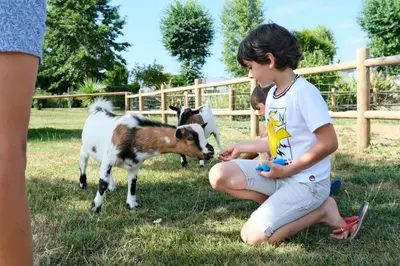 Animaux dans le camping ou à proximité