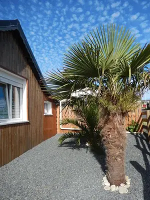 Plan de l'établissement Chalet ALOHA