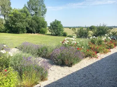 Jardin de l'établissement Nature Hideaway in St Germain du Pert