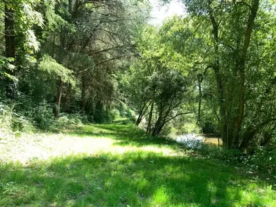 Paysage naturel près de la maison de vacances