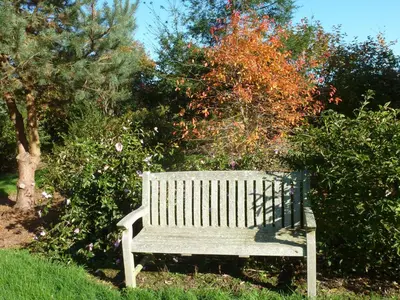 Jardin de l'établissement Manoir De Savigny
