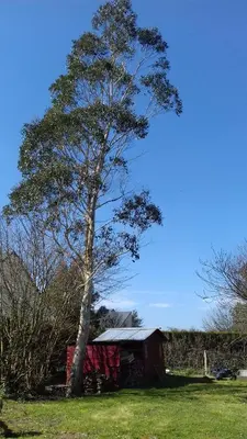 Paysage naturel près de le B&B/chambre d'hôtes