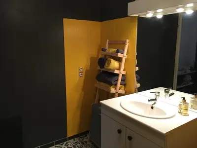 Salle de bains dans l'établissement Cosy Flat Cherbourg