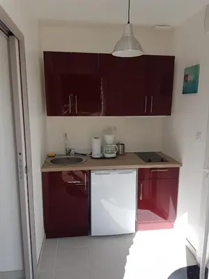 Cuisine ou kitchenette dans l'établissement La Puisatière