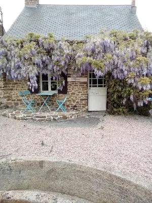 Jardin de l'établissement Gite Bleu