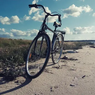 Vélo sur le terrain de l'établissement Les Sauges ou dans les environs