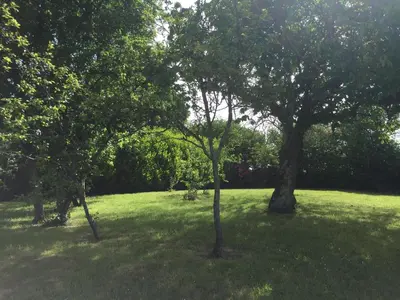 Jardin de l'établissement la maison perchée