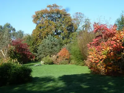 Jardin de l'établissement Le cottage de Savigny