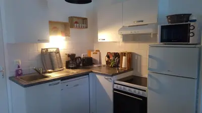 Cuisine ou kitchenette dans l'établissement Chalet Les dauphins
