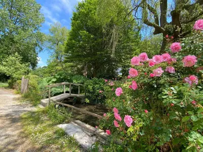 Paysage naturel près de la maison de vacances