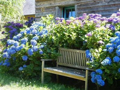 Jardin de l'établissement La Bergerie: Maison ancienne avec jardin anglais, 2 chambres - FR-1-497-35