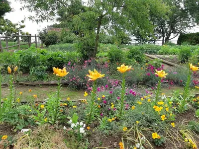 Jardin de l'établissement Maison de campagne spacieuse avec grand jardin, animaux acceptés - FR-1-497-99