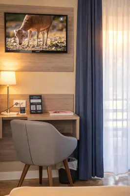 Télévision ou salle de divertissement dans l'établissement Les Treize Assiettes - Baie du Mont-Saint-Michel