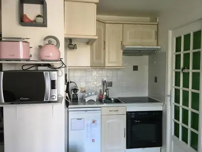 Cuisine ou kitchenette dans l'établissement Plage et Mer Appartement vue mer Accès direct plage