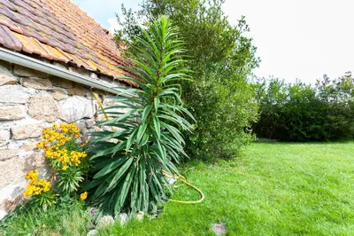 Jardin de l'établissement Holiday Normandy se ressourcer à deux pas de la Mer