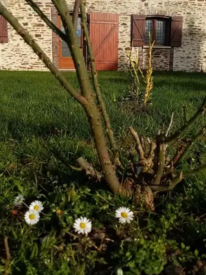 Jardin de l'établissement Maison MooMoons
