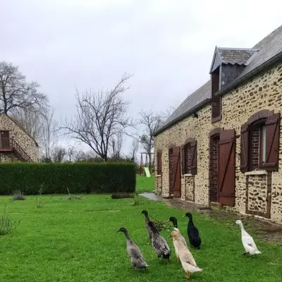 Maison MooMoons