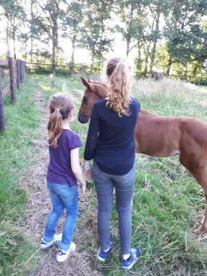 Enfants séjournant dans l'établissement gîte du haras de valès