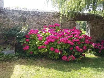 Jardin de l'établissement Sainte-Mère-Église - Ferme de Beauvais