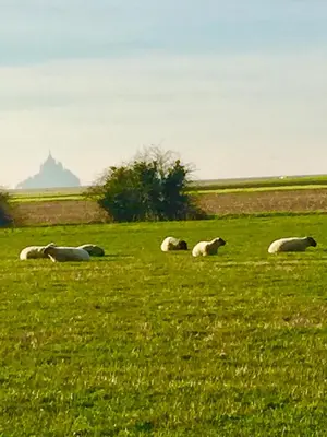 Paysage naturel près de l'appartement