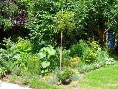Jardin de l'établissement Chambre d'hôtes sur jardin acces PMR