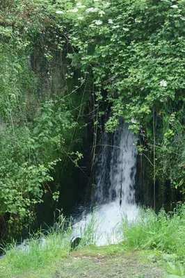 Paysage naturel près de la maison de vacances