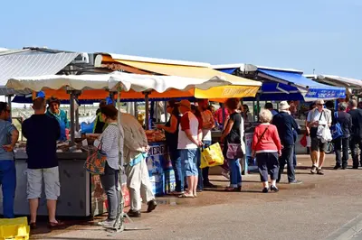 Clients de l'établissement Appartement avec loggia - Proche centre et plage