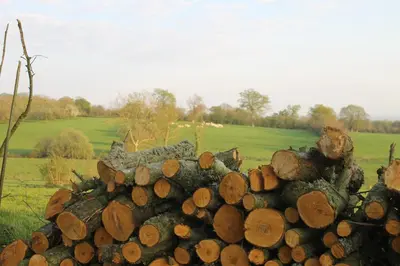 Paysage naturel près de la maison de vacances